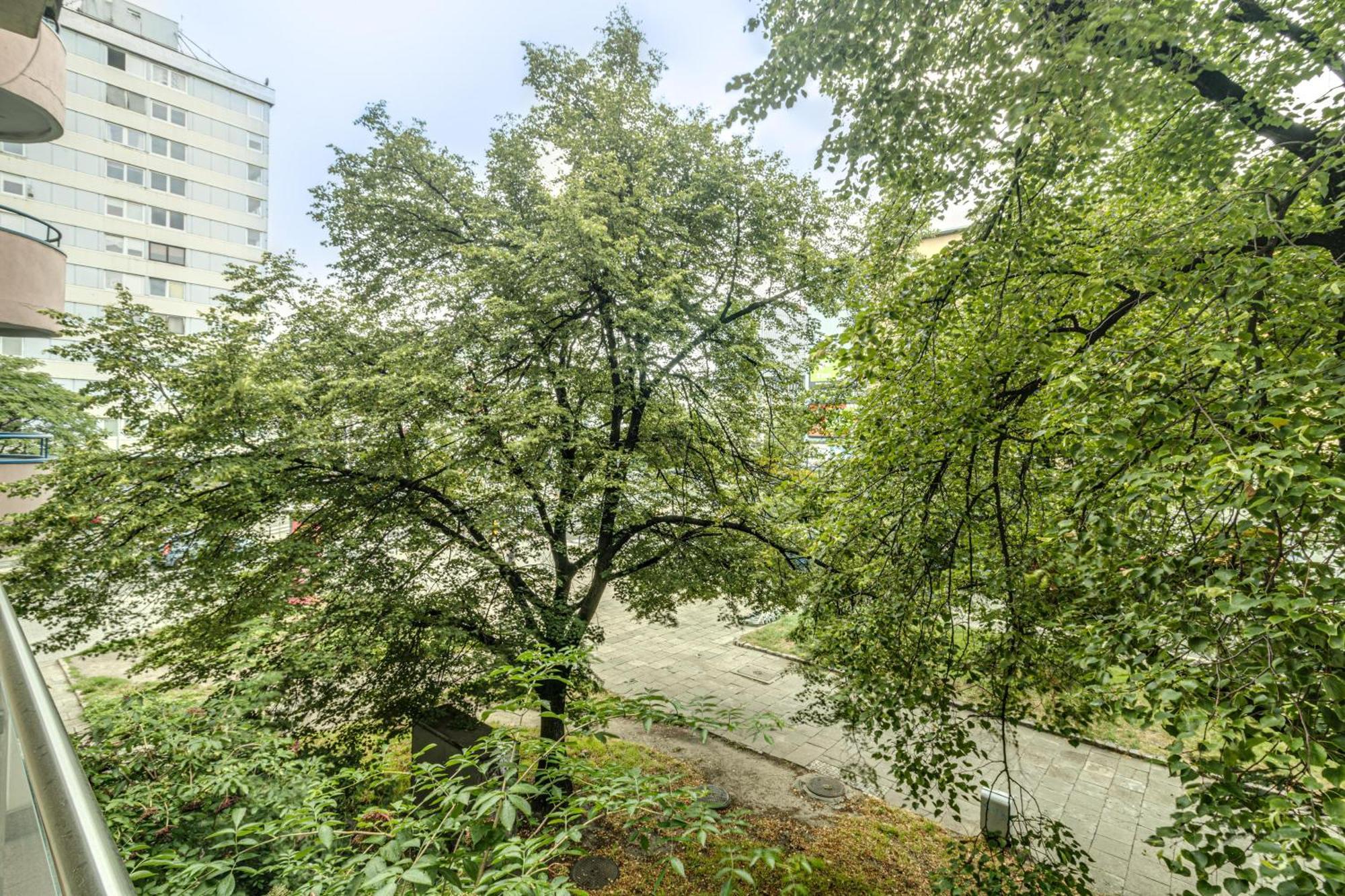 Rentplanet - Apartament Kosciuszki 弗罗茨瓦夫 外观 照片
